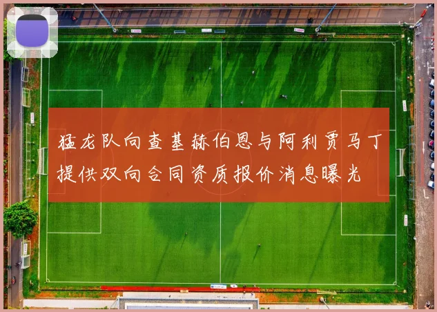 猛龙队向查基赫伯恩与阿利贾马丁提供双向合同资质报价消息曝光